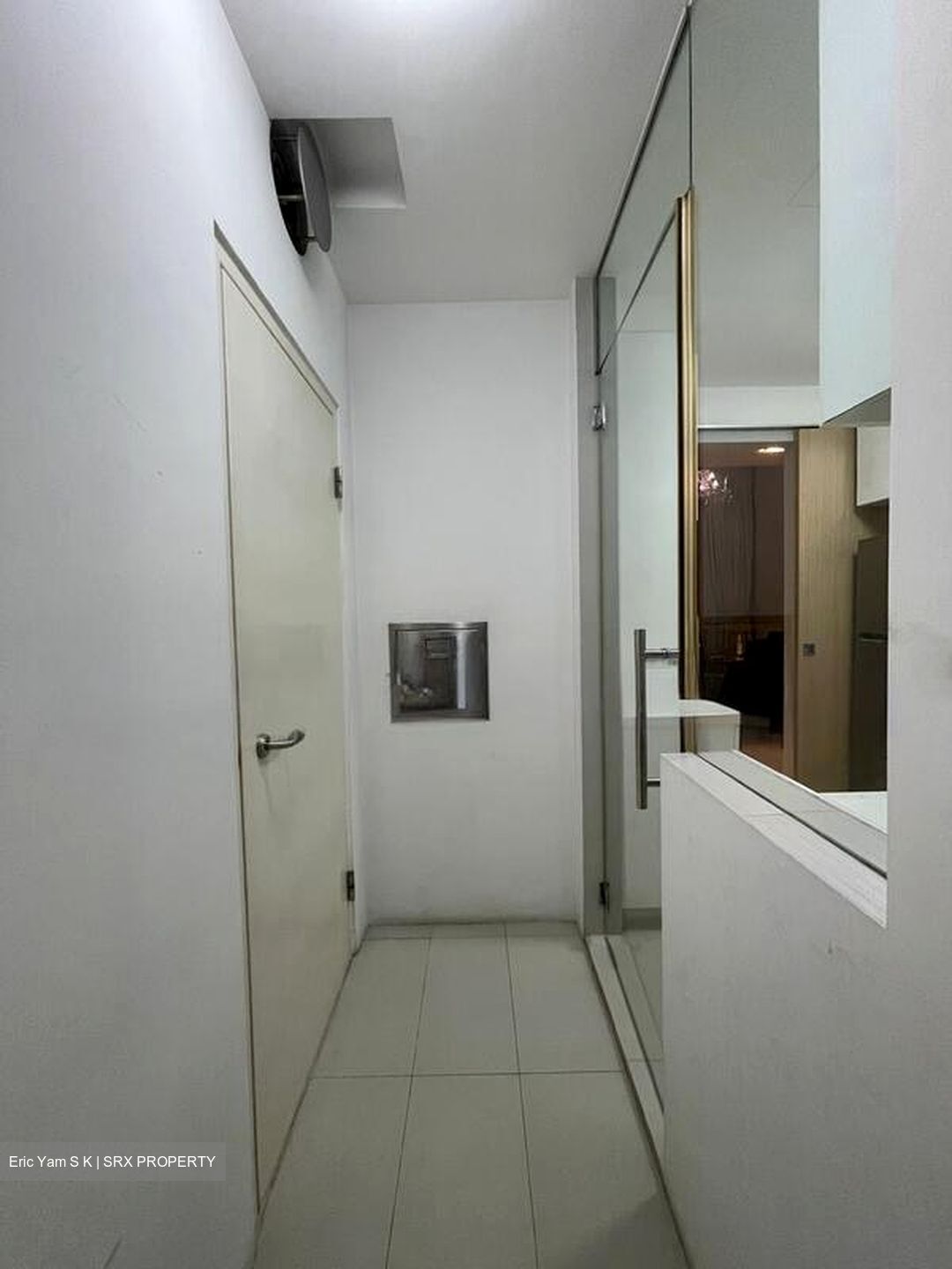 Rhapsody On Mount Elizabeth (D9), Apartment #495715511